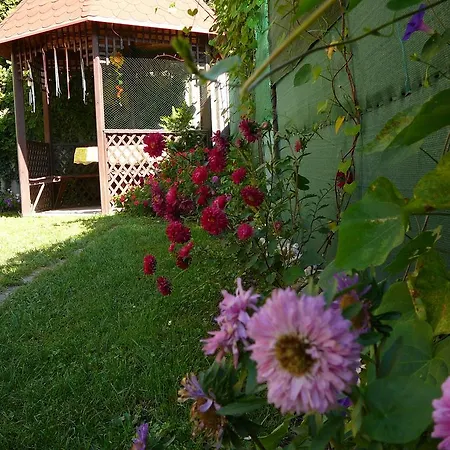 公寓 埃里卡公寓 *