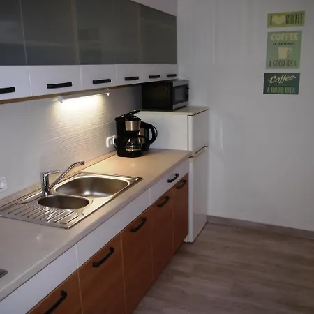 埃里卡公寓 * Hévíz