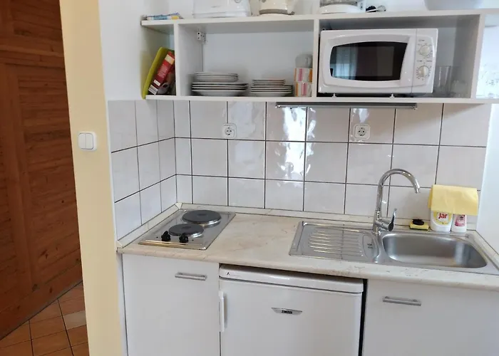 Апартаменты Erika *