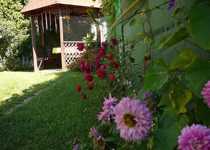 Апартаменты Erika *